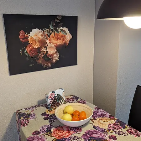 Cozy Apartment