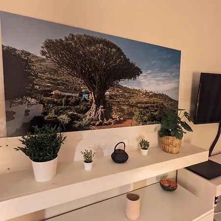 Cozy Apartament